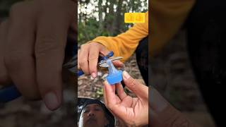 Survival Skills Single mom show oil to saving in forestt camping bushcraft outdoor lifehacks [upl. by Jahdiel]