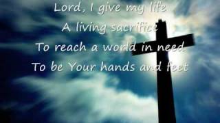 Life Song  Casting Crowns [upl. by Trellas]