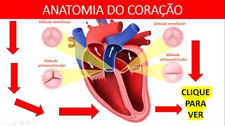 Anatomia do Coração  Aula de Anatomia Enfermagem [upl. by Skeie311]