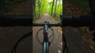 Bergab ist immer Geil  wald forest gravelbike gravel gravellife downhill [upl. by Ettenav]