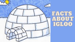 interesting facts about igloos [upl. by Arrej600]