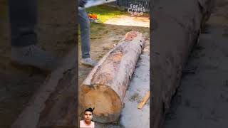 Wood Cutting New Style woodcrafter woodworking wood diy woodwork forcraftssake reels shorts [upl. by Tecla783]