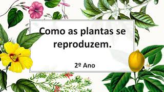 Aula tia Leila ciências reprodução das plantas 2°ano [upl. by Oneill]