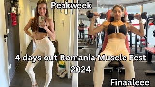 4 days out Romania Muscle Fest 2024 Proqualifier  Peakweek  Finale [upl. by Pride]