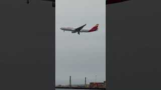 Iberia a330 landing KBOS runway 4R plane planespotter aviation aviationspotting airlinevideos [upl. by Lekar686]