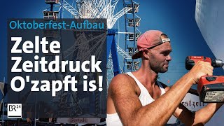 Härtetest OktoberfestAufbau in 10 Wochen zur fertigen Wiesn  Abendschau Reportage  BR24 [upl. by Neville487]