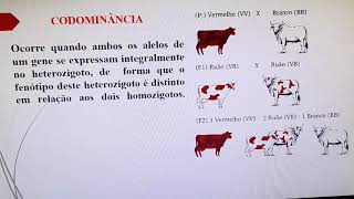 Variação nos padrões de herança dominância completa incompleta codominância alelos letais [upl. by Ateuqahs776]