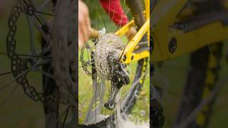 ASMR Bike Drivetrain Degreasing 🤤🔊 mtb asmr shorts [upl. by Dloraj]