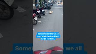 This overfed and sick street dog was down but not out You got this Cindy Crawford rescuedogs dog [upl. by Shirline968]