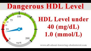 HDL Choleterol  what level is dangerously low and 11 plantbased foods that raise your HDL levels [upl. by Quincey709]