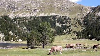 PARC NACIONAL DAIGÜESTORTES I ESTANY DE SANT MAURICI [upl. by Loomis]