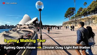 Sydney Walking Tour  Walking from Sydney Opera House to Circular Quay Light Rail Station Australia [upl. by Enirual]