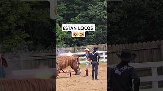 Show de vaquero 🤠🤠🏇🐴 viralvideo parati vaquero caballos show [upl. by Estas]