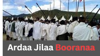 Ardaa Jilaa Oromoo Booranaa Yaadi Media Network yaadimedianetwork ethiopian [upl. by Rehotsirhc]