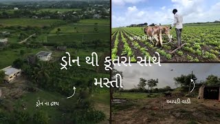 ડ્રૉન થી કુતરા સાથે મસ્તી  Gujarati vlOg  Farming vlog guju vlog  family vlog NirbhayChavda007 [upl. by Adiene352]