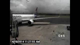 Kahului Airport video of stowaway leaving Hawaiian Airlines jet [upl. by Saber128]