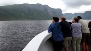 A Boat Tour to Remember Western Brook Pond  Newfoundland and Labrador Canada [upl. by Chadd]