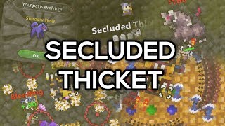 RotMG Secluded Thicket Guide and Solos [upl. by Avon]