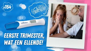 ZWANGER amp DE TEST ALLE ECHOS amp 1E TRIMESTER WAT EEN ELLENDE  Co with the Flow [upl. by Idolem186]