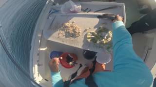 Bottum fishing commercial pinhooking porgies and black sea bass Montauk [upl. by Kirrad627]