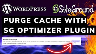 How To Purge Cache With SG Optimizer Plugin in WordPress [upl. by Brooking]