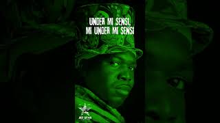 Barrington Levy  Under Mi Sensi [upl. by Breed]