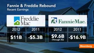 Fannie and Freddie Face New Problem Profitability [upl. by Maritsa]