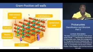 MCAT® Prokaryotes Classification and Structure  Part 3 – Bacterial Cell Walls [upl. by Darn]