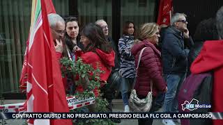 Contratto giusto e no precariato presidio della FLC Cgil a Campobasso [upl. by Olinde]