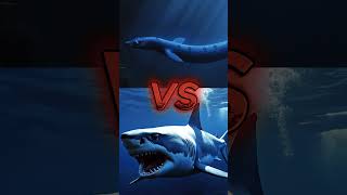 💥 Ultimate Ocean Showdowns 🌊🦈 Who’s the Real King of the Deep 🐙🔥 [upl. by Ij]