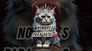 Nombres para gatas gatos cat gatas [upl. by Whitcomb577]