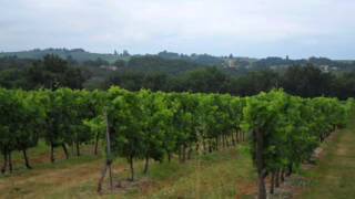 Vignobles de France [upl. by Devin]