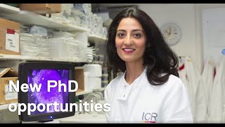 New PhD opportunities at The Institute of Cancer Research [upl. by Yblek]