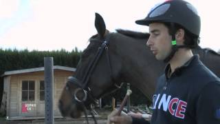 A laise avec votre cheval sur les pointes cross  CCE  Equidia Life [upl. by Raddie]