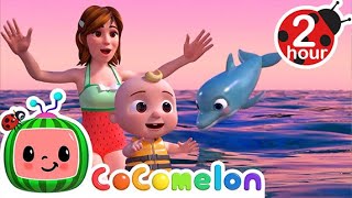 Play at the Beach with Dolphins  CoComelon Kids Songs amp Nursery Rhymes [upl. by Larisa404]