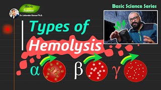 Types of Hemolysis by Bacteria  Alpha Beta and Gamma Hemolysis Detection  Basic Science Series [upl. by Ymas749]