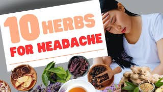 10 SURPRISING Herbs Thatll Heal Your Headaches FAST [upl. by Kral463]