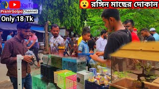 Aquarium Price In Bangladesh 🐠 Aquarium Fish Price In BD 2024 😱 Fish Price In Bangladesh 2024 [upl. by Yleve593]