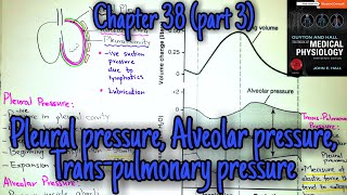 Pleural pressure Alveolar pressure Transpulmonary pressure  chapter 38 part 3 Guyton physiology [upl. by Urian]