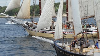 Windjammer Days 2024 [upl. by Einolem]