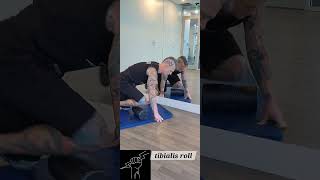 explanation tibialis roll [upl. by Gusti]