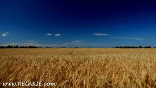 60minutes2relax  Golden Wheat Field [upl. by Yong]