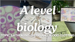 A level biology edexcel A SNAB Topic 1 Atherosclerosis and Blood Clotting [upl. by Olegnaid]