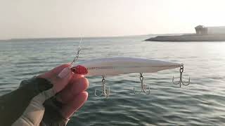 fishing  Casting D1 lure  fishingtechnique [upl. by Koressa896]