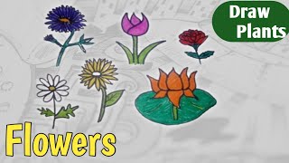 How to draw Flowers  Draw Plants ☘️quotDay 5quot [upl. by Curnin933]