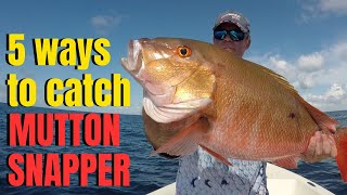 5 ways to catch MUTTON SNAPPER [upl. by Froma]