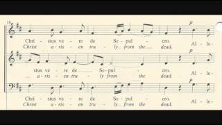 Surrexit Christus Soprano [upl. by Sufur492]