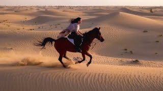 Riding Horses in Dubais Desert [upl. by Soulier]