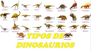 TIPOS DE DINOSAURIOS [upl. by Barmen]