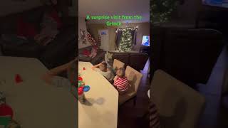 The Grinch makes an unexpected visit to scare the kids Haha thegrinch grinch prank [upl. by Kalbli]